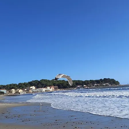 Bord De Et Vue Sur Wifi Offert *