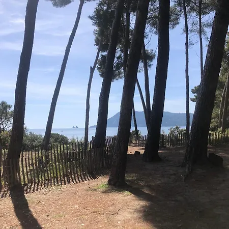 Bord De Et Vue Sur Wifi Offert La Seyne-sur-Mer