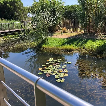 Apartment Bord De Et Vue Sur Wifi Offert *