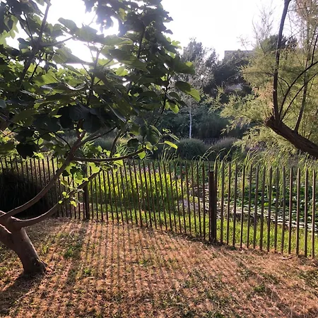 Bord De Et Vue Sur Wifi Offert